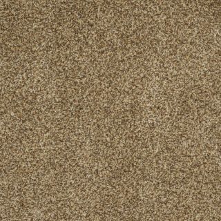 STAINMASTER Trusoft Private Oasis III Tigereye Textured Indoor Carpet