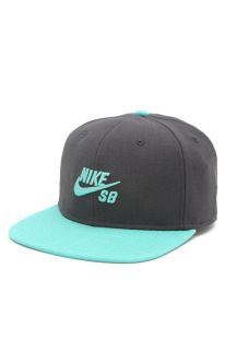 Mens Nike Sb Hats   Nike Sb Snapback Hat