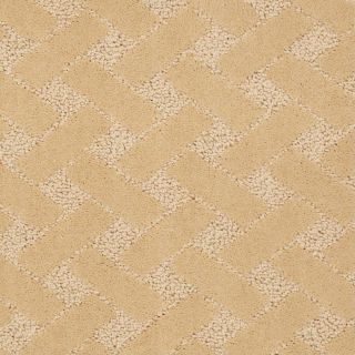 STAINMASTER Active Family Crowning Glory Soft Breeze Fashion Forward Indoor Carpet