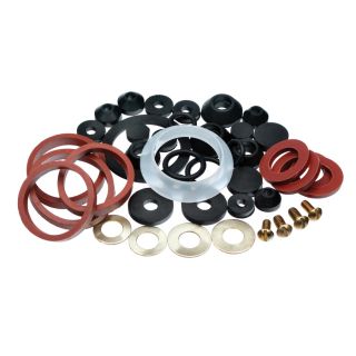 Danco 43 Pack Plastic Assorted Washer