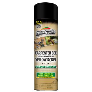 Spectracide 16 oz Carpenter Bee and Ground Wasp Killer