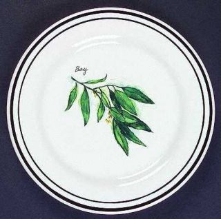 Williams Sonoma Wso24 Salad/Dessert Plate, Fine China Dinnerware   Various Herbs