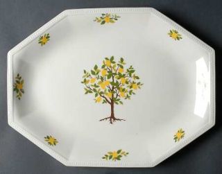 Johnson Brothers Lemon Tree 13 Oval Serving Platter, Fine China Dinnerware   He