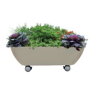 Garden365 Mobile Garden Planter with Wheels, Latte  Raised Garden Kits  Patio, Lawn & Garden