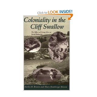 Coloniality in the Cliff Swallow The Effect of Group Size on Social Behavior (9780226076256) Charles R. Brown, Mary Bomberger Brown Books