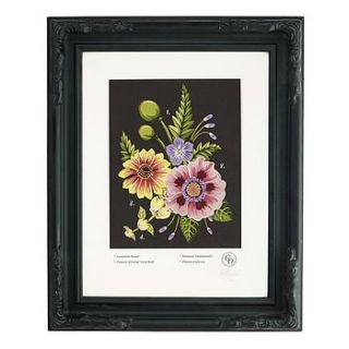 signed papaver orientale art print by charlotte day