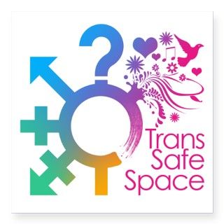 Trans Safe Space Sticker by TransSafeSpace