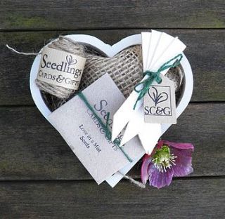 mini love grows gift set by seedlings cards
