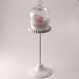 very tall glass dome cupcake stand by little cupcake boxes