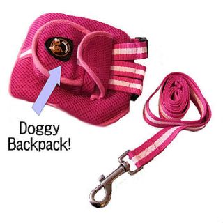 dog backpack harness and matching lead by bijou gifts