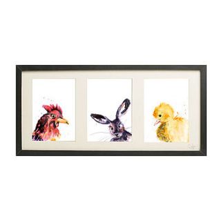 three framed farm yard animal inky prints by kate moby