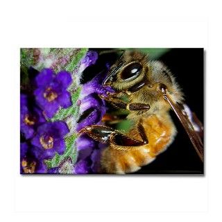 Honey Bee Rectangle Magnet by marieterry