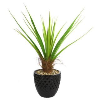 Laura Ashley Home Tall Agave Floor Plant in Fiberstone Pot