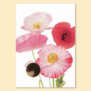 garden poppies card with seeds to grow by think bubble