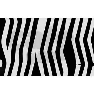 zebra stripes pattern Pet Tag by designsanddesigns
