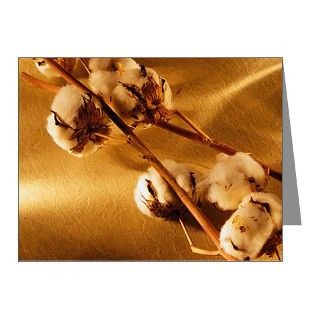Cotton Bolls Note Cards (Pk of 10) by ADMIN_CP_GETTY35497297