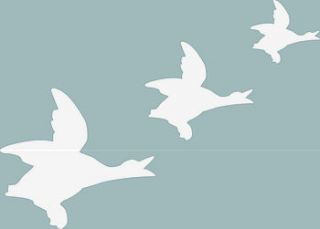 flying duck wall stickers by philip watts design