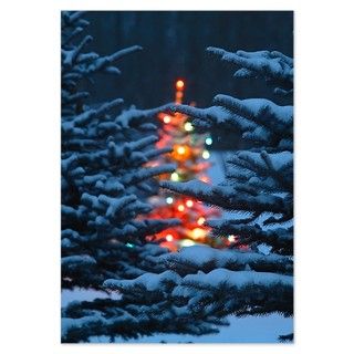 Christmas Tree glowing in Fores Invitations by ADMIN_CP_GETTY35497297