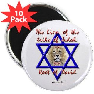 The Lion Of Judah 2.25 Magnet (10 pack) by theloveofgod