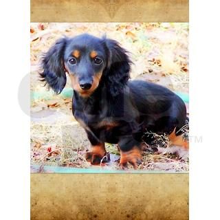 Puppy Love Doxie 84" Curtains by LaZevzecul4