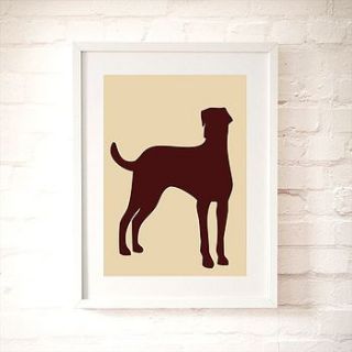 doberman dog with natural ears fine art print by indira albert
