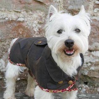 dartmoor waterproof dog coat popper fronted by redhound for dogs