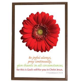 Give Thanks Plaque Red Daisy 5" X 7"  Decorative Plaques  