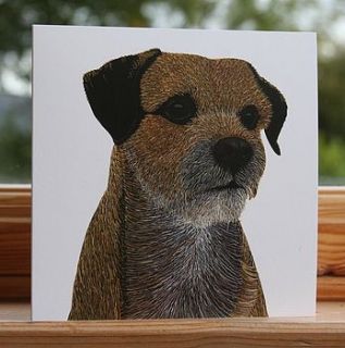 dog cards 'man's best friend' square by bird
