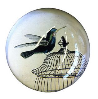 hummingbird and cage paperweight by natural history