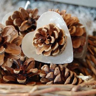 heart shaped cinnamon pine cone firelighters by hunter gatherer