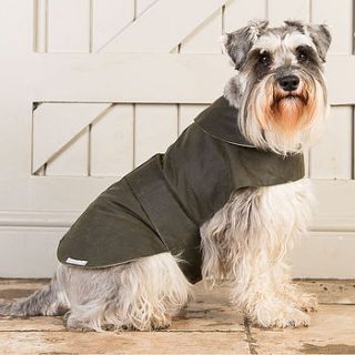waxed waterproof reversible dog coat by mutts & hounds