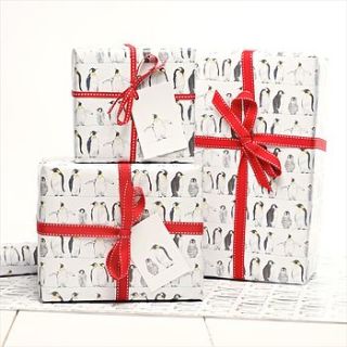 emperor penguin gift wrap by julia davey