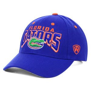 Florida Gators Top of the World NCAA Fearless Adjustable Cap