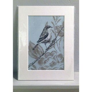 blue wren ink drawing by laura new artist & illustrator