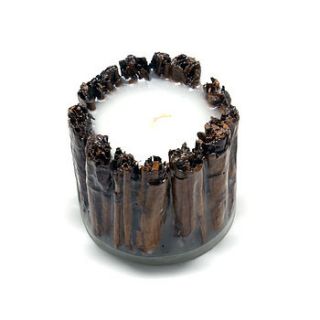 colombian coffee bean/cinnamon candle by incantation home & living