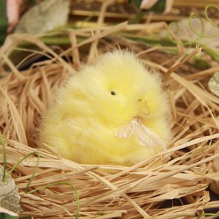 chirping fluffy chick by lisa angel homeware and gifts