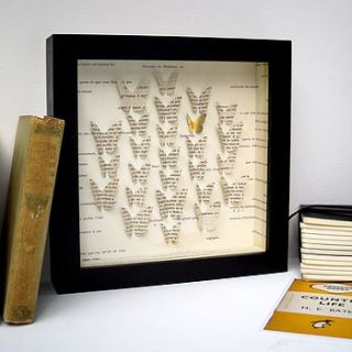single wing butterfly collection artwork by artstuff