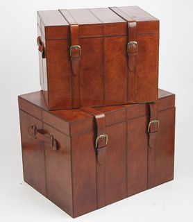 leather trunk by life of riley