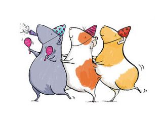 guinea pig conga print by marbles ink