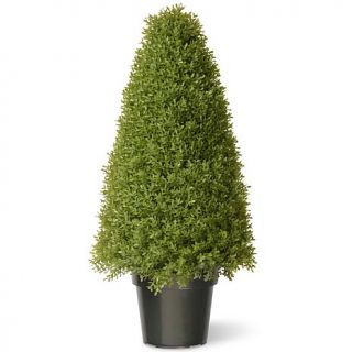Artificial 36" Boxwood Tree in Green Growers Pot