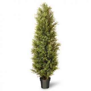 Artificial 72" Argentea Plant in Green Growers Pot