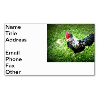 Farm Fowl Business Card Template