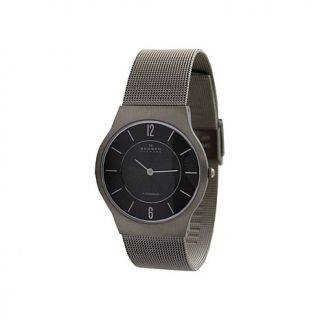 Skagen Denmark Men's Black Dial Titanium Watch with Mesh Bracelet
