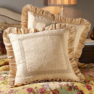 Clever Carriage Home Crochet Set of 2 Euro Shams