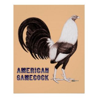 Gamecock Sepia Poster