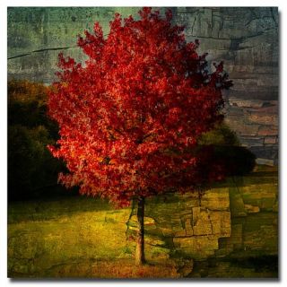 Philippe Sainte Laudy, 'Autumn Red'