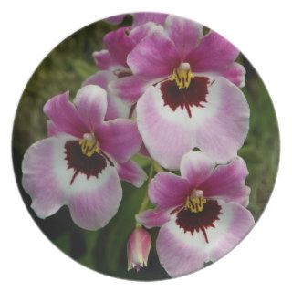 Pansy Orchid Melamine Plate