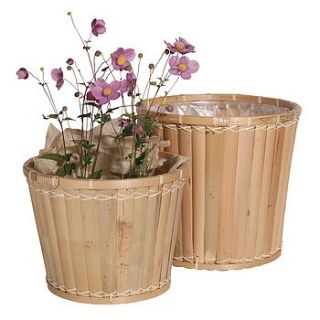 bamboo plant pots set by idyll home ltd