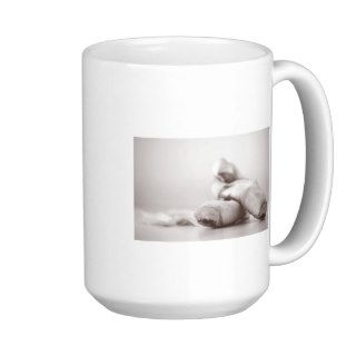 Ballet Pointe Shoes on Dance Floor Template Coffee Mugs