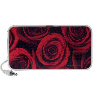 Close up of red rose flowers. portable speaker
